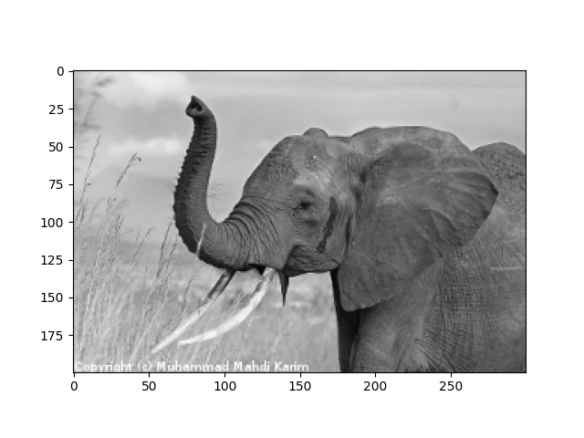 plot elephant